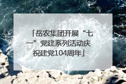 岳农集团开展“七一”党建系列活动庆祝建党104周年