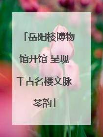 岳阳楼博物馆开馆 呈现千古名楼文脉琴韵