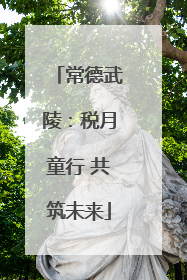 常德武陵：税月童行 共筑未来