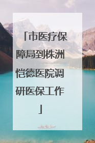 市医疗保障局到株洲恺德医院调研医保工作