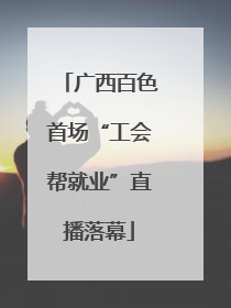 广西百色首场“工会帮就业”直播落幕