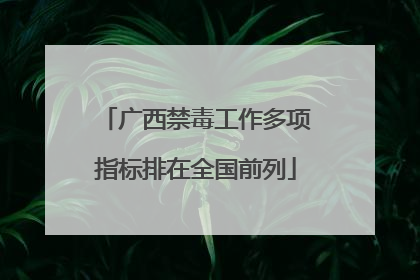 广西禁毒工作多项指标排在全国前列