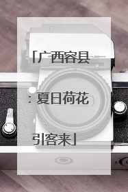 广西容县：夏日荷花引客来