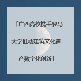 广西高校携手罗马大学推动建筑文化遗产数字化创新