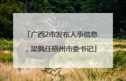 广西2市发布人事信息，梁枫任横州市委书记