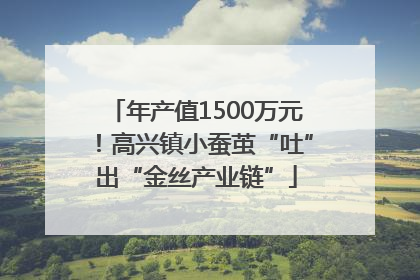 年产值1500万元！高兴镇小蚕茧“吐”出“金丝产业链”