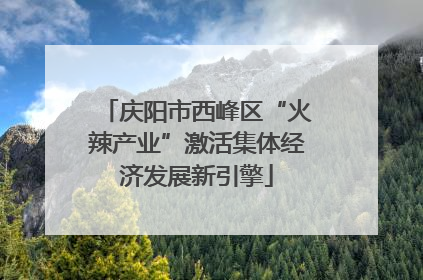 庆阳市西峰区“火辣产业”激活集体经济发展新引擎