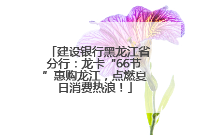 建设银行黑龙江省分行：龙卡“66节”惠购龙江，点燃夏日消费热浪！
