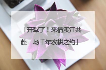 开犁了！来楠溪江共赴一场千年农耕之约