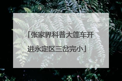 张家界科普大篷车开进永定区三岔完小