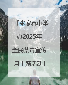 张家界市举办2025年全民禁毒宣传月主题活动