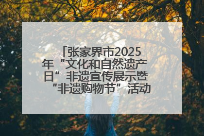 张家界市2025年“文化和自然遗产日”非遗宣传展示暨“非遗购物节”活动在慈利县盛大启幕
