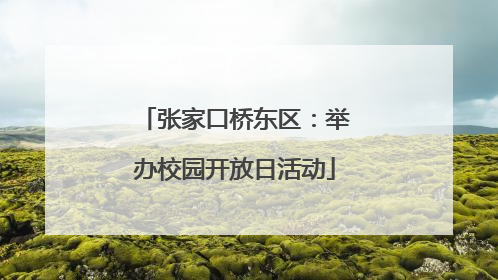 张家口桥东区：举办校园开放日活动