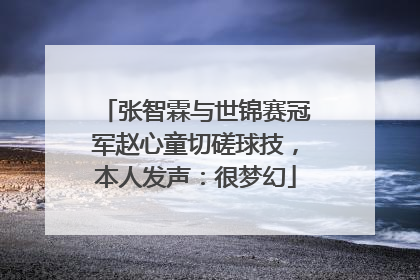 张智霖与世锦赛冠军赵心童切磋球技，本人发声：很梦幻