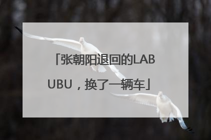 张朝阳退回的LABUBU，换了一辆车