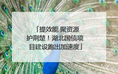 提效能 聚资源 护荆楚！湖北国债项目建设跑出加速度