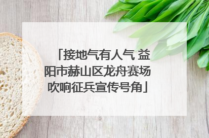 接地气有人气 益阳市赫山区龙舟赛场吹响征兵宣传号角