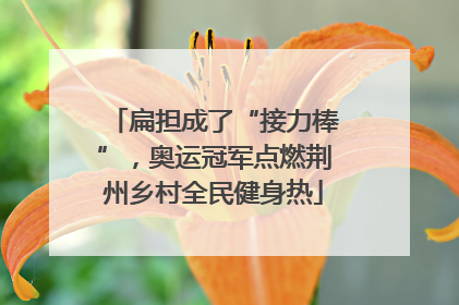 扁担成了“接力棒”，奥运冠军点燃荆州乡村全民健身热