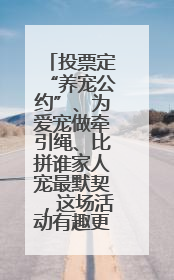 投票定“养宠公约”、为爱宠做牵引绳、比拼谁家人宠最默契，这场活动有趣更有意义