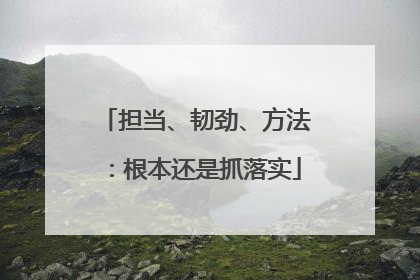 担当、韧劲、方法：根本还是抓落实