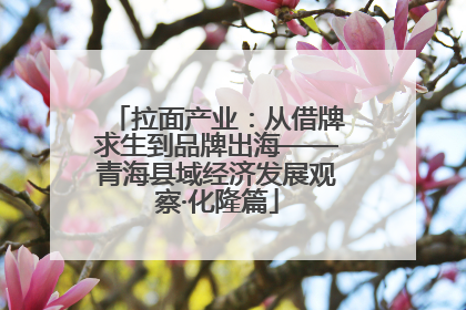 拉面产业：从借牌求生到品牌出海——青海县域经济发展观察·化隆篇