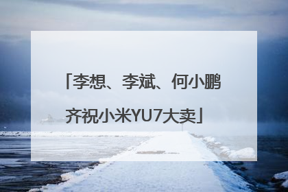 李想、李斌、何小鹏齐祝小米YU7大卖