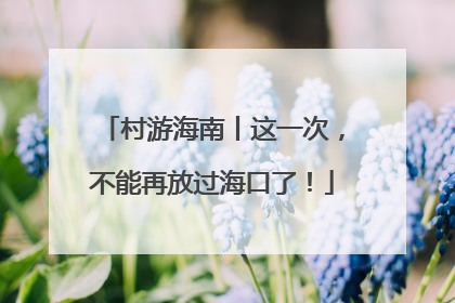 村游海南丨这一次，不能再放过海口了！