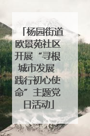 杨园街道欧景苑社区开展“寻根城市发展 践行初心使命”主题党日活动