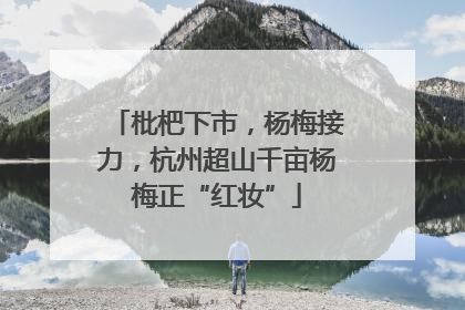 枇杷下市，杨梅接力，杭州超山千亩杨梅正“红妆”