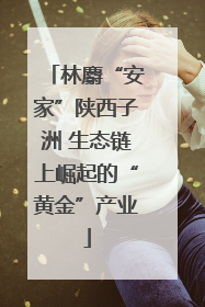 林麝“安家”陕西子洲 生态链上崛起的“黄金”产业