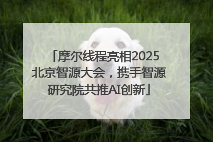 摩尔线程亮相2025北京智源大会，携手智源研究院共推AI创新