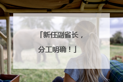 新任副省长，分工明确！