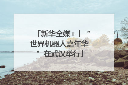 新华全媒+丨“世界机器人嘉年华”在武汉举行