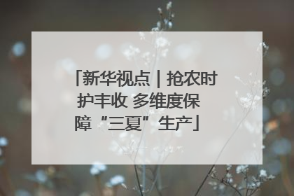 新华视点｜抢农时 护丰收 多维度保障“三夏”生产