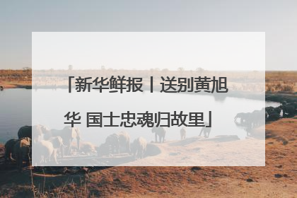 新华鲜报丨送别黄旭华 国士忠魂归故里