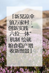 新晃凉伞镇万家村：创新实践“六位一体”机制 绘就粮食稳产增收新图景