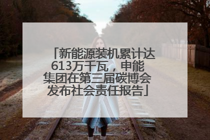 新能源装机累计达613万千瓦，申能集团在第三届碳博会发布社会责任报告