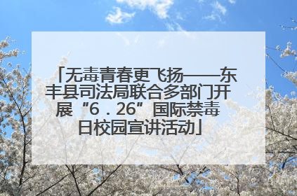无毒青春更飞扬——东丰县司法局联合多部门开展“6．26”国际禁毒日校园宣讲活动
