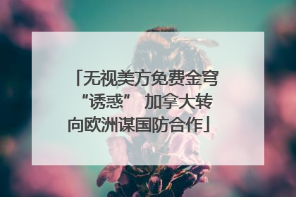无视美方免费金穹“诱惑” 加拿大转向欧洲谋国防合作