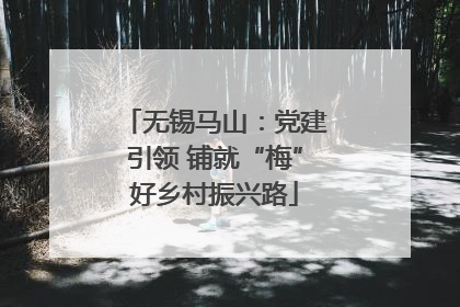 无锡马山：党建引领 铺就“梅”好乡村振兴路