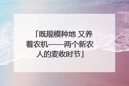 既规模种地 又养着农机——两个新农人的麦收时节