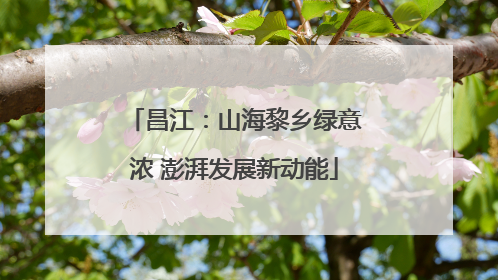 昌江：山海黎乡绿意浓 澎湃发展新动能