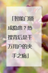 智能门锁成隐患？热搜背后是千万用户的夹手之痛