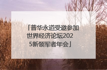 普华永道受邀参加世界经济论坛2025新领军者年会