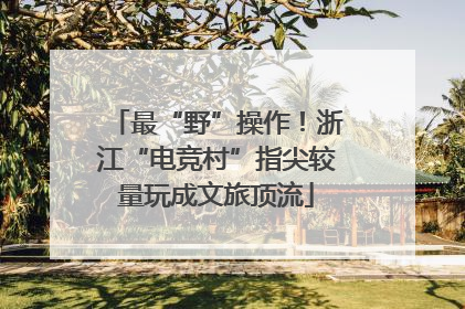 最“野”操作！浙江“电竞村”指尖较量玩成文旅顶流