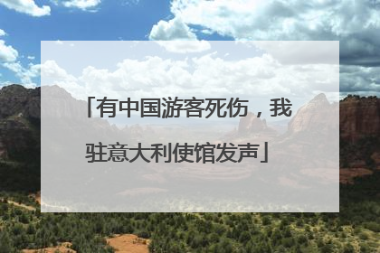 有中国游客死伤，我驻意大利使馆发声