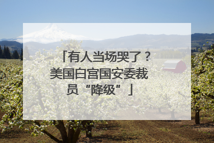 有人当场哭了？美国白宫国安委裁员“降级”