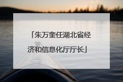 朱万奎任湖北省经济和信息化厅厅长