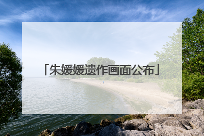 朱媛媛遗作画面公布