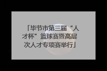 毕节市第三届“人才杯”篮球赛暨高层次人才专项赛举行